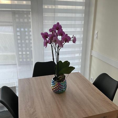 Ferienwohnung Apartament „Dwie Wieze” Kattowitz Exterior foto